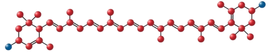 Lutein source